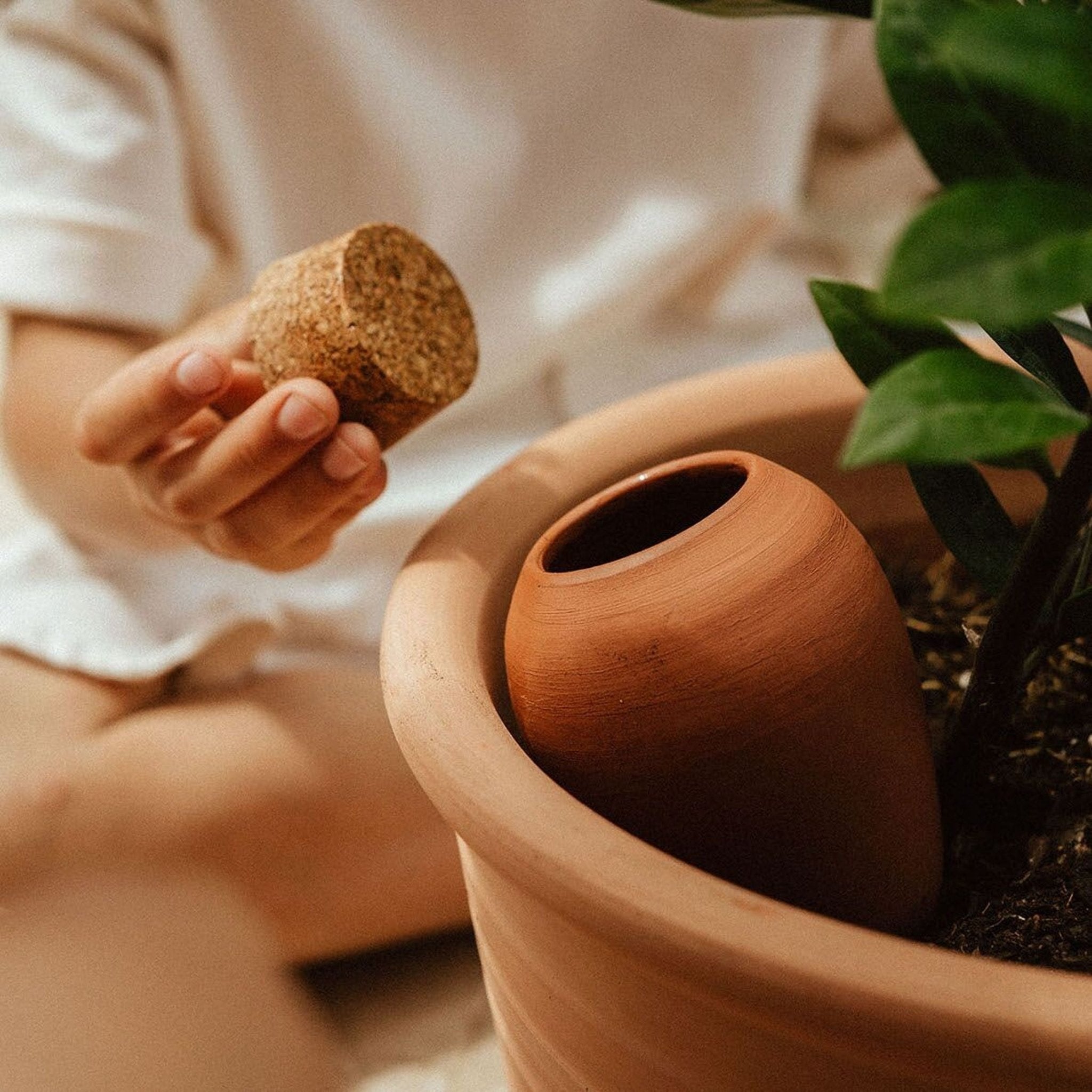 OLLA EN TERRE CUITE TERRACOTTA POUR PLANTES - Pepin - Lili Margaret