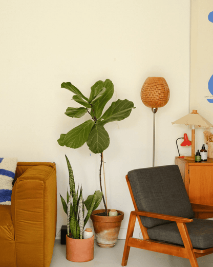 Olla léopard décorative pour plantes d’intérieur - Pepin - Lili Margaret