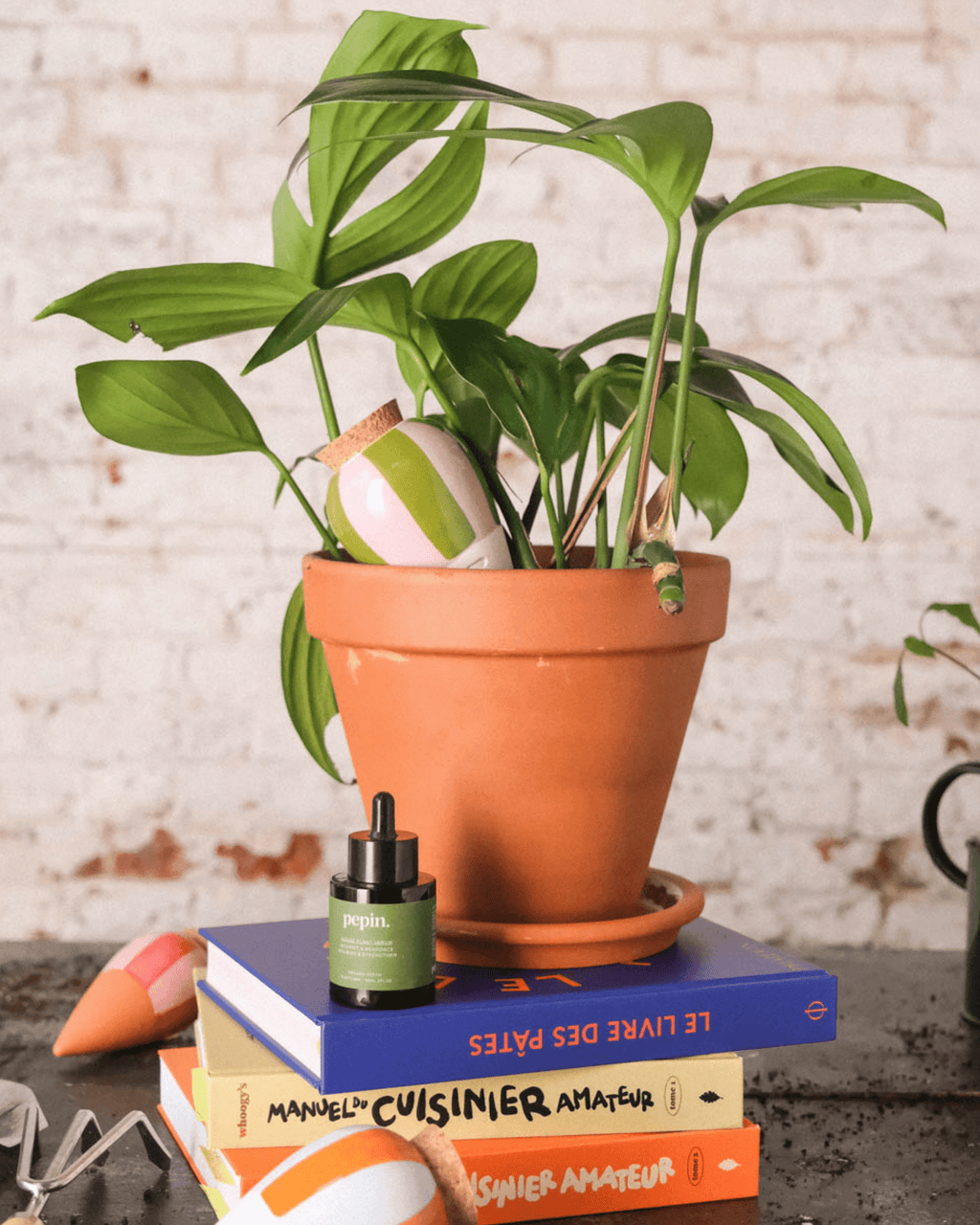 Olla léopard décorative pour plantes d’intérieur - pepin