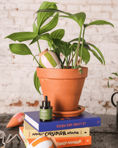 Olla léopard décorative pour plantes d’intérieur - Pepin - Lili Margaret