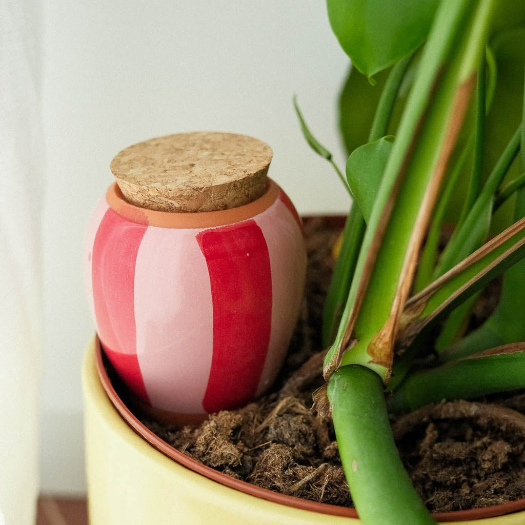 Olla rayée rose et rouge - pepin