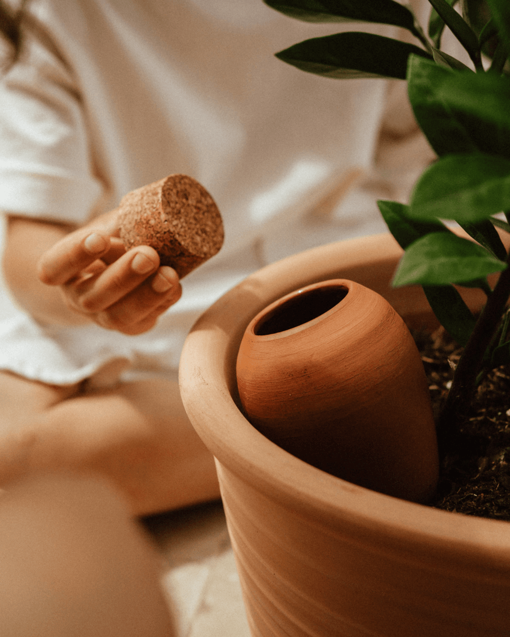 Olla terre cuite terracotta pour plantes d’intérieur - pepin