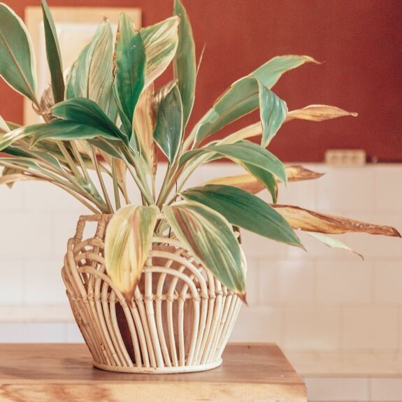 Panier rond rahina en rotin (3 tailles) - soeji