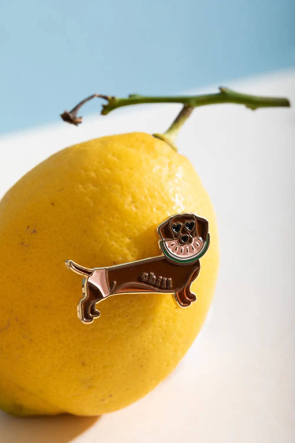 Pin's Chill Doggy - All the ways to say