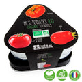 Plateau trio pots zinc tomates - radis et capucine