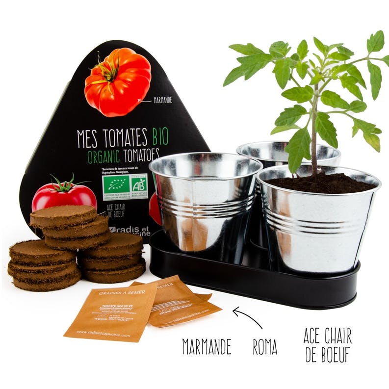 Plateau trio pots zinc tomates - radis et capucine