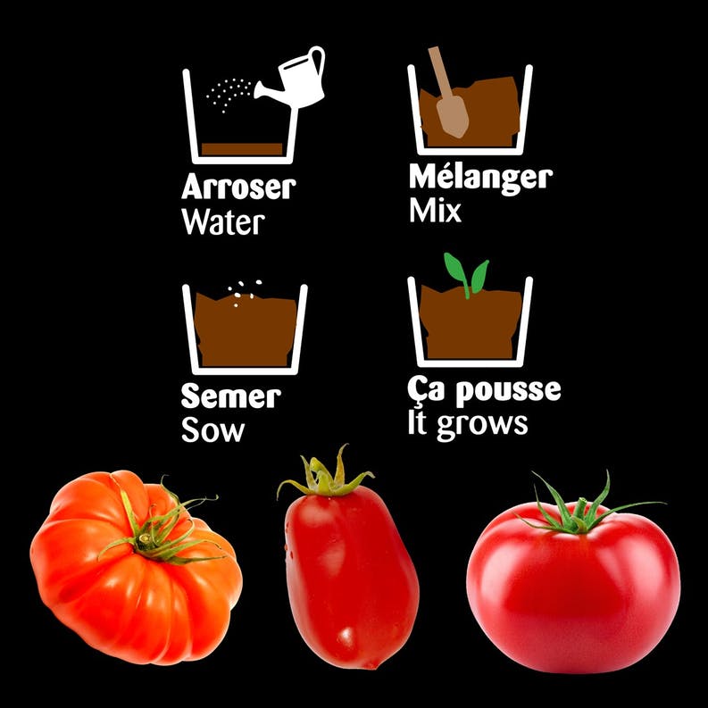 Plateau trio pots zinc tomates - radis et capucine