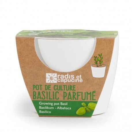 Pot de culture basilic