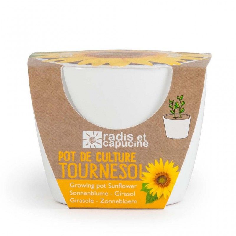 Pot de culture tournesol en céramique