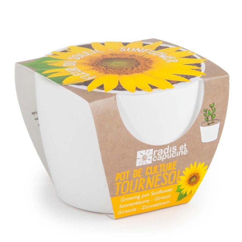 Pot de culture tournesol - radis et capucine