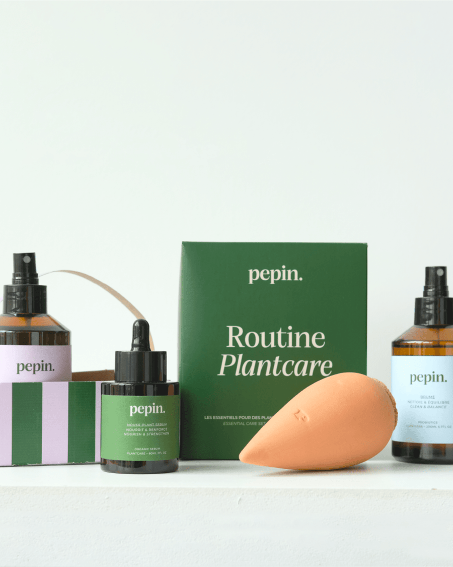 Routine plantcare - soin complet pour plantes vertes