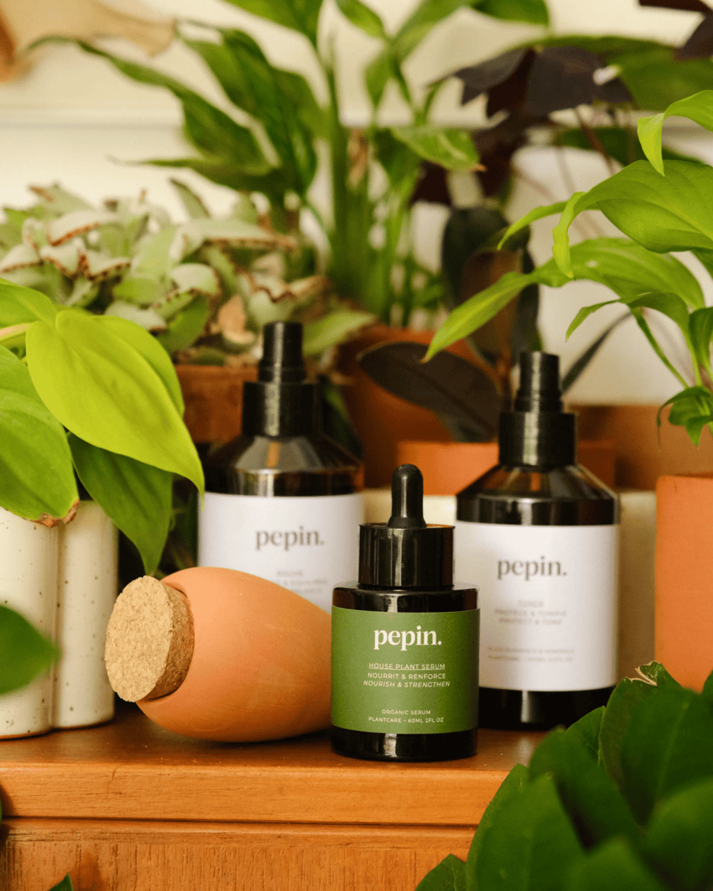 Routine plantcare – soin complet pour plantes - pepin