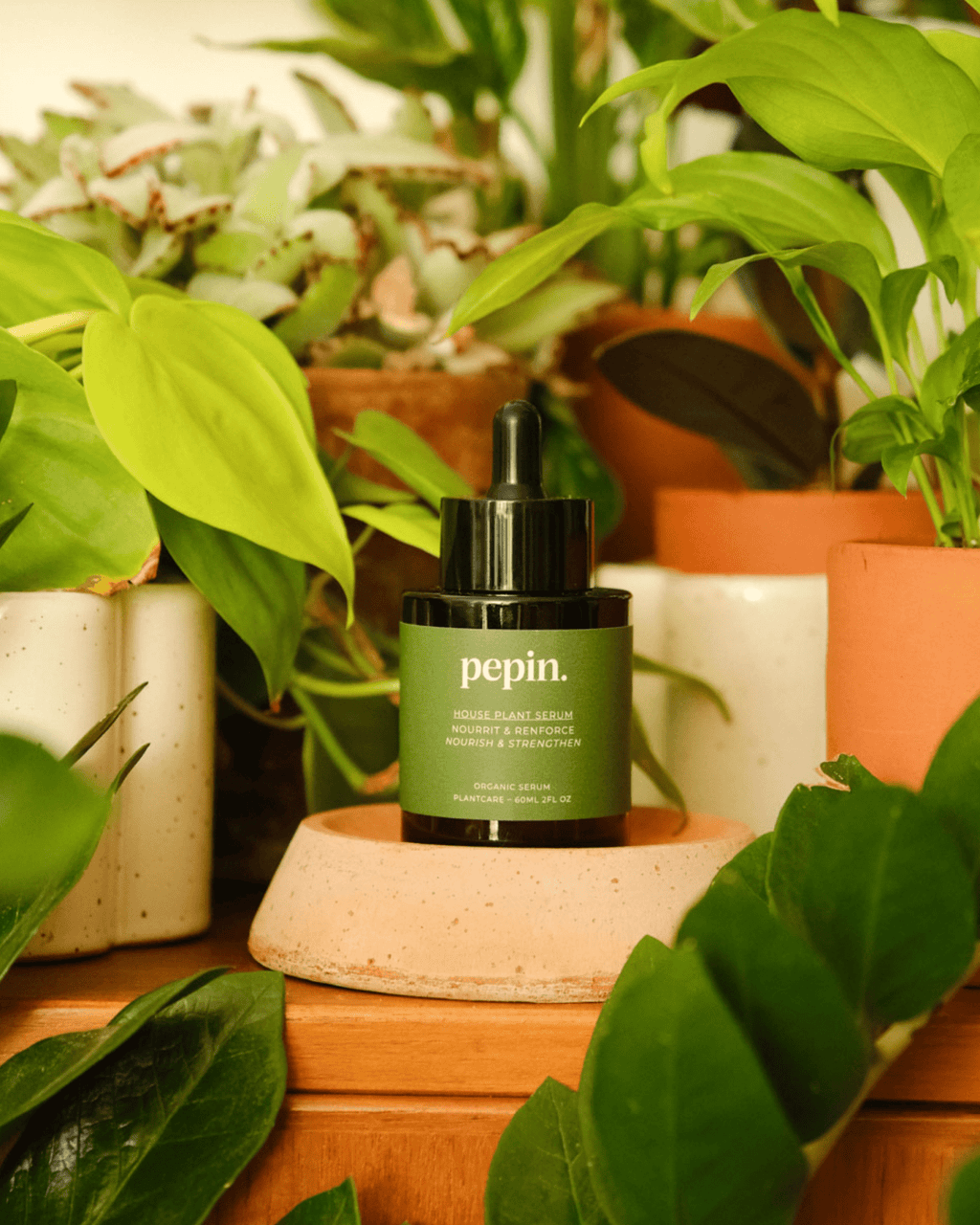 Sérum nourrissant pour plantes vertes - pepin