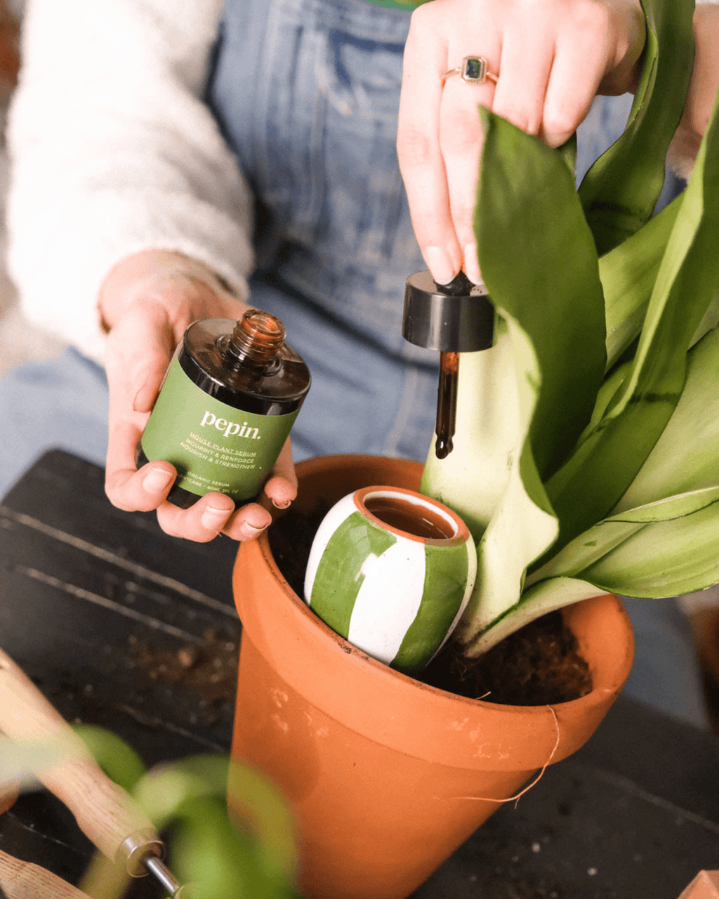 Sérum nourrissant pour plantes vertes - pepin