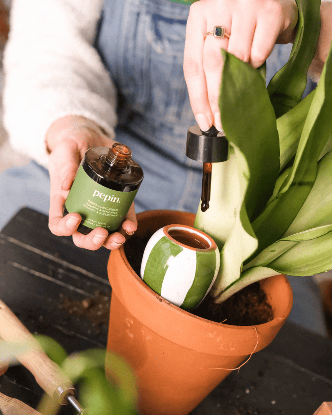 SÉRUM NOURRISSANT POUR PLANTES VERTES - Pepin - Lili Margaret