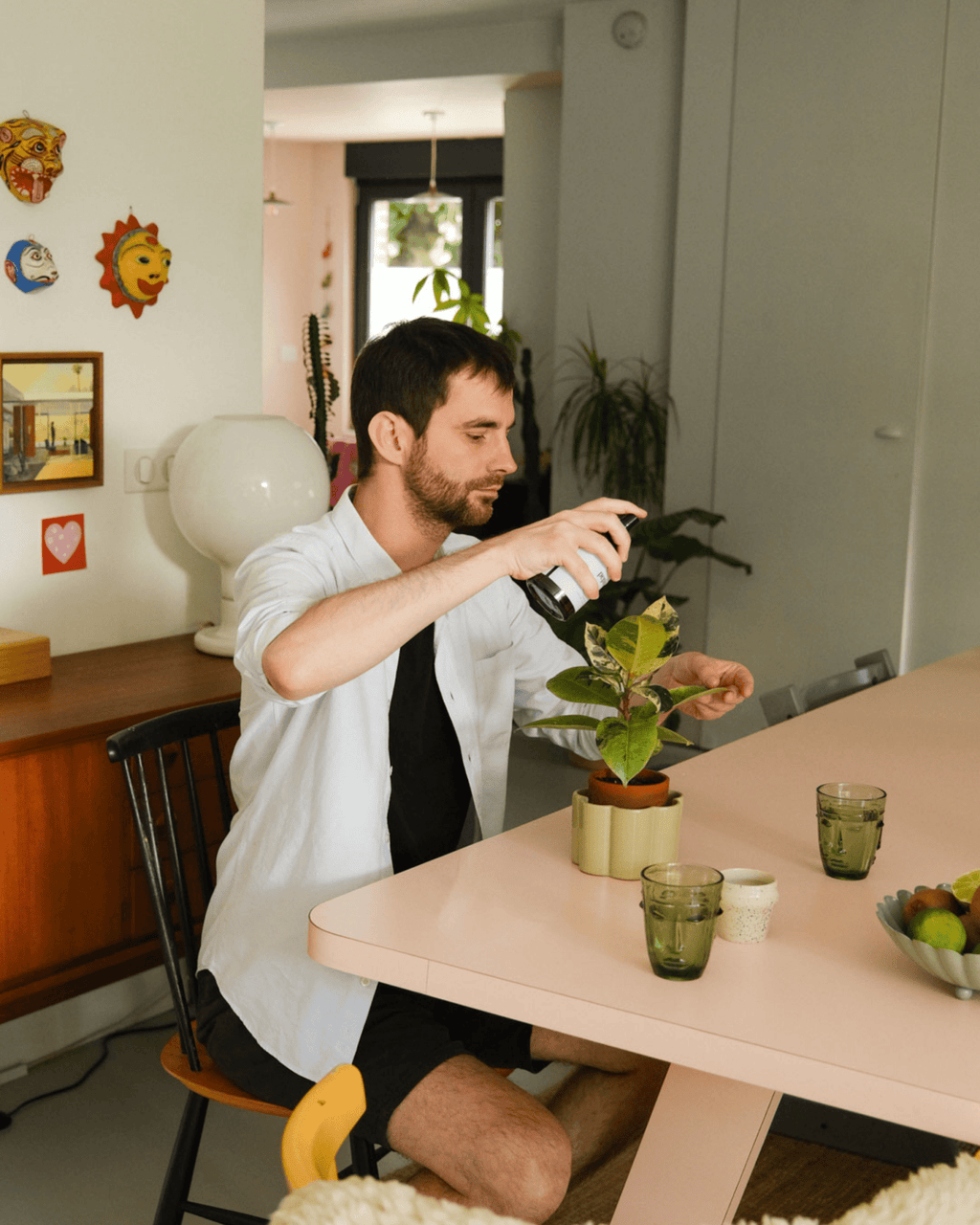 Spray protecteur pour plantes d'intérieur - pepin