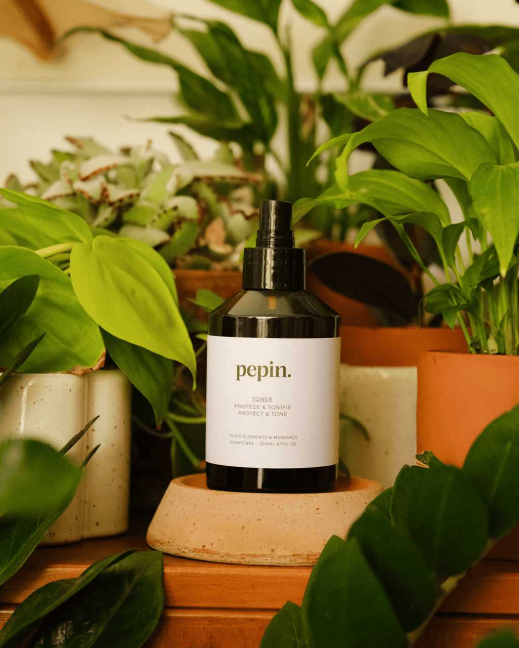 Spray protecteur pour plantes d'intérieur - pepin