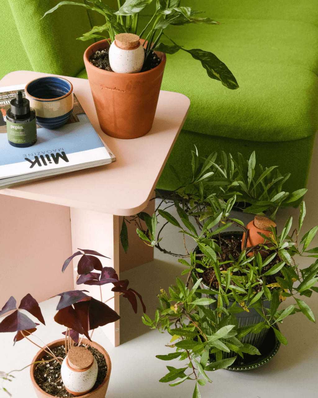Trio mini olla pepin en terre cuite pour arrosage automatique