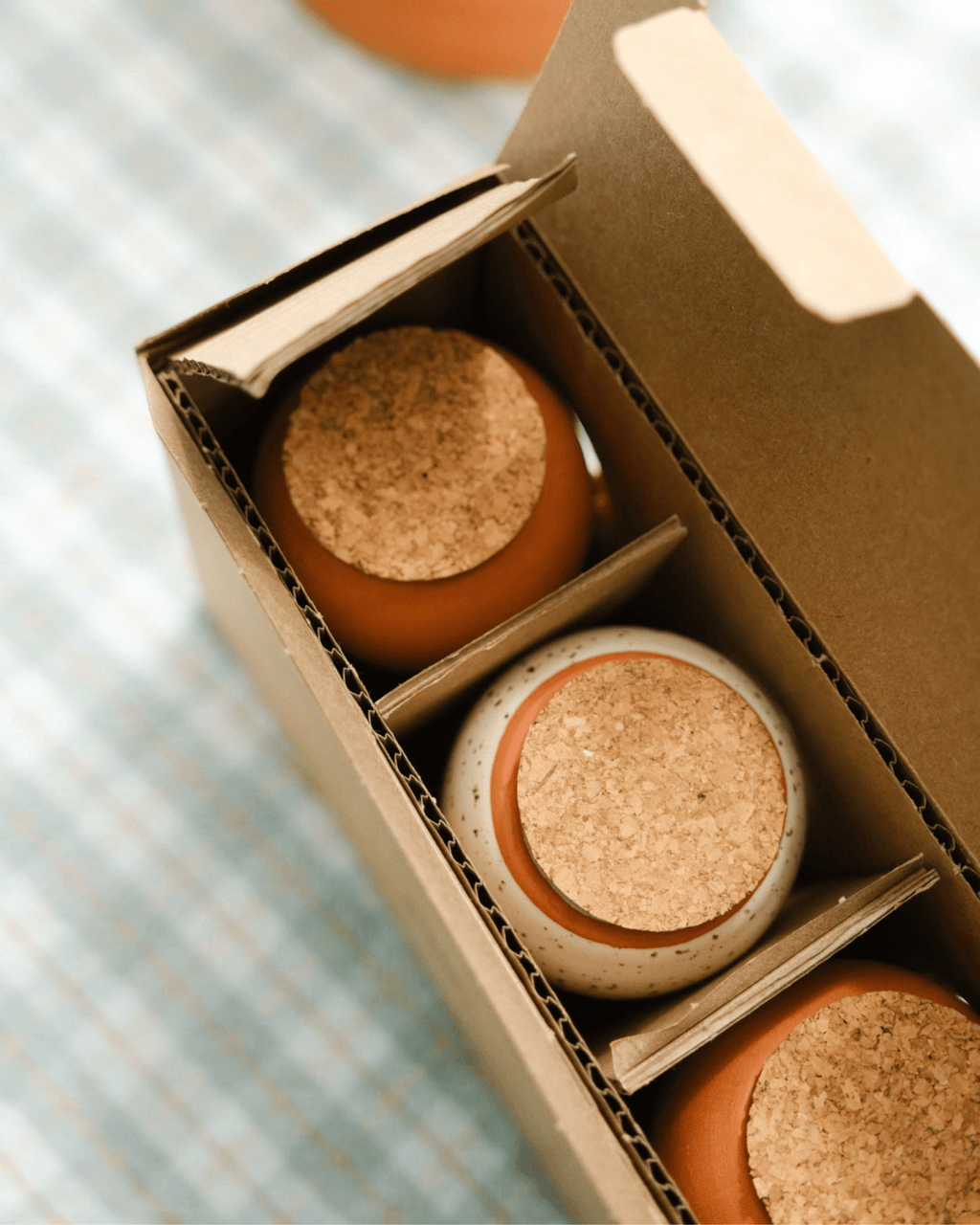 Trio mini olla pepin en terre cuite pour arrosage automatique