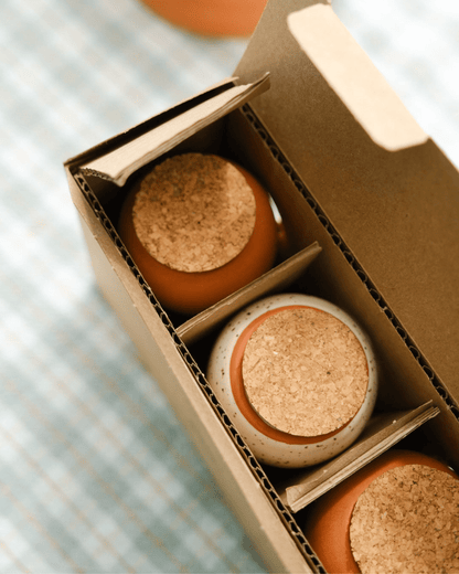 Trio mini olla Pepin en terre cuite pour arrosage automatique - Lili Margaret