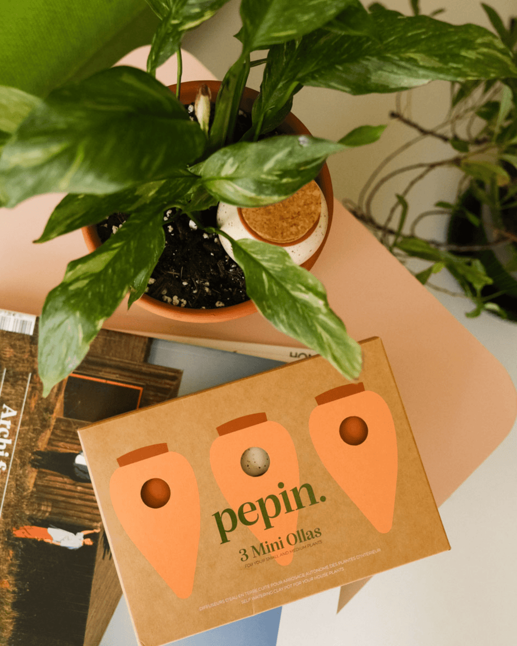 Trio mini olla pepin en terre cuite pour arrosage automatique