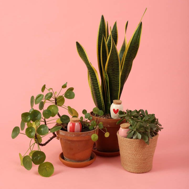 Trio mini olla rayée en terre cuite Les Lovers - pepin