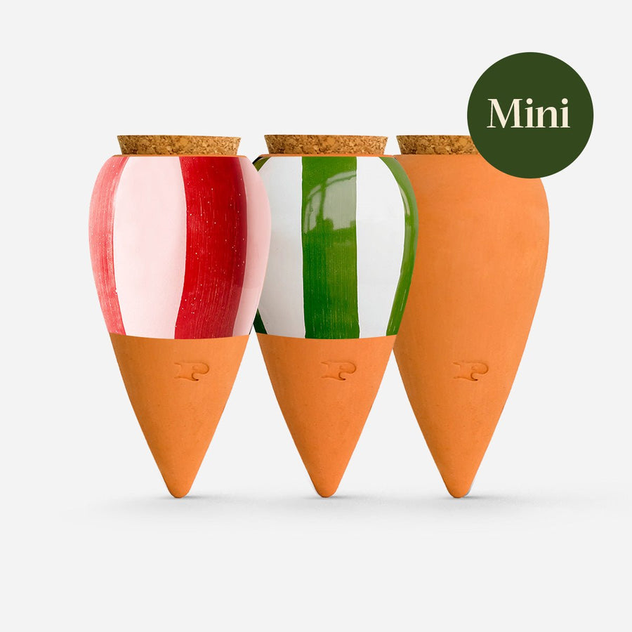 Trio mini olla rayée en terre cuite