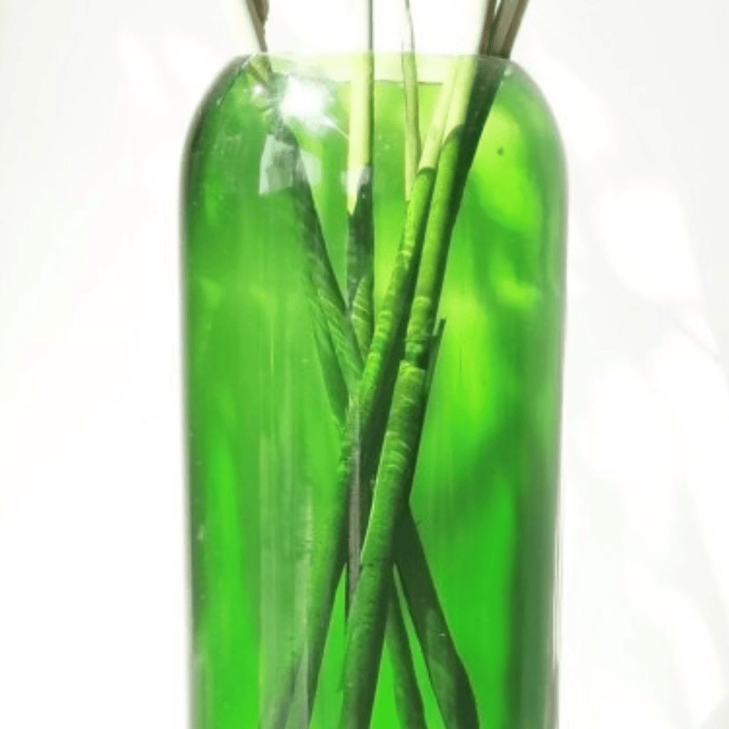 Grand vase verre recyclé vert - plates & culotées